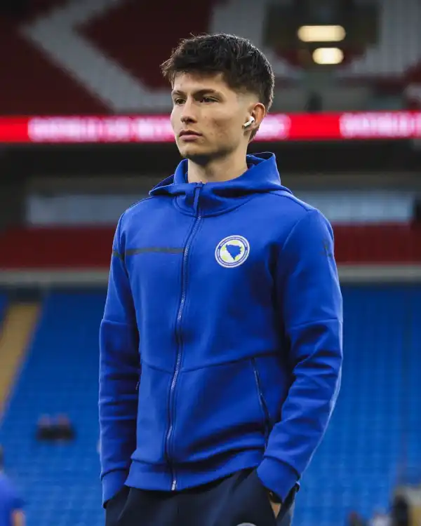 FIFA World Cup 2026 Bosnia and Herzegovina Hoodie